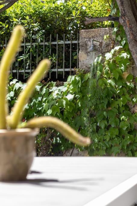 Il Giardino Tra Cielo E Mare Apartment Porto Venere Exterior foto